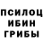 Псилоцибиновые грибы Psilocybe Another God