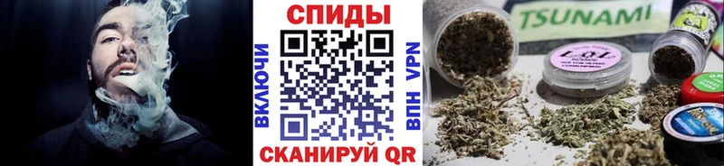 Бутират буратино  Шарья 