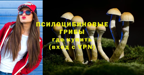 гидропоника Абинск