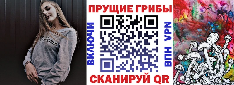 Галлюциногенные грибы Cubensis Шарья